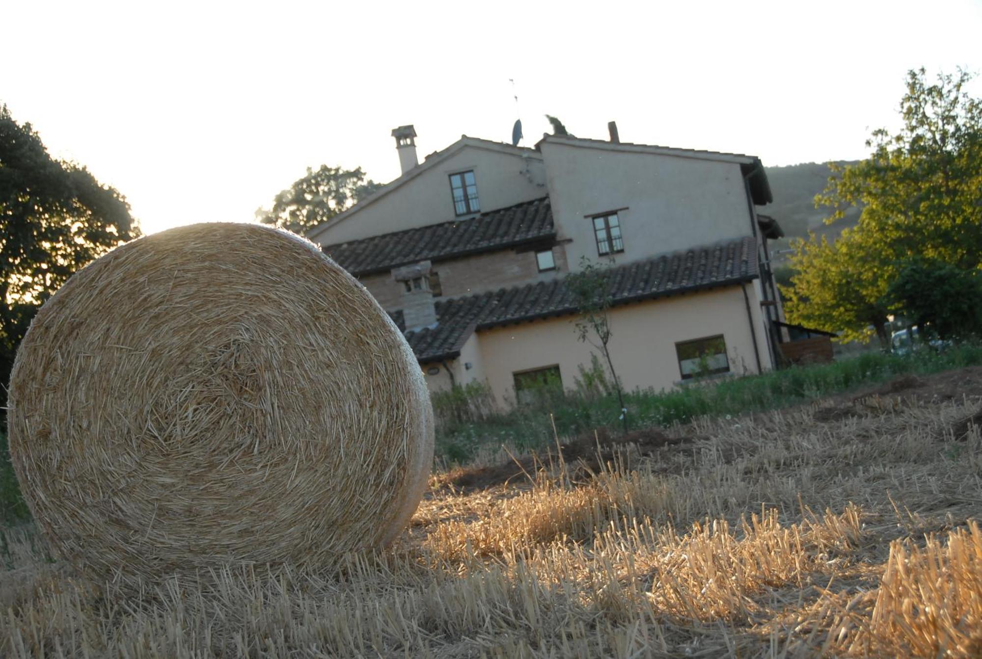 Molenda B&B Città di Castello Kültér fotó